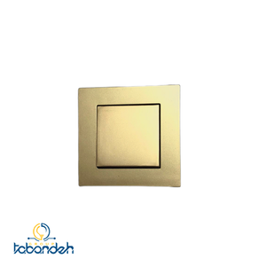 کلید تک پل BEKER مدل آسان بژ با قاب بژ